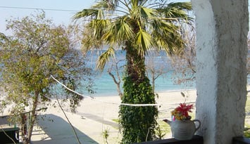 Captain Beach Boutique Apartments - Λιμένας, Θάσος