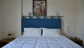 Hotel Hercules - Αρχαία Ολυμπία