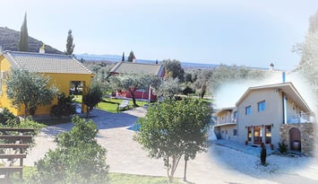 Socrates Organic Village Wild Olive - Αγριλιά, Μεσολόγγι