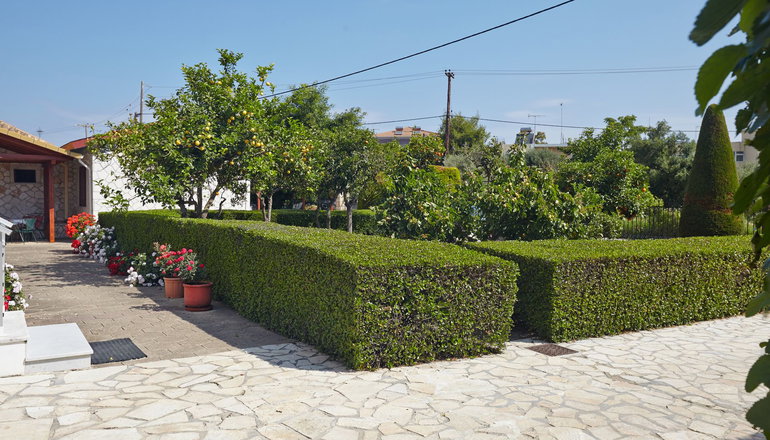 Pettas Apartments Zakynthos