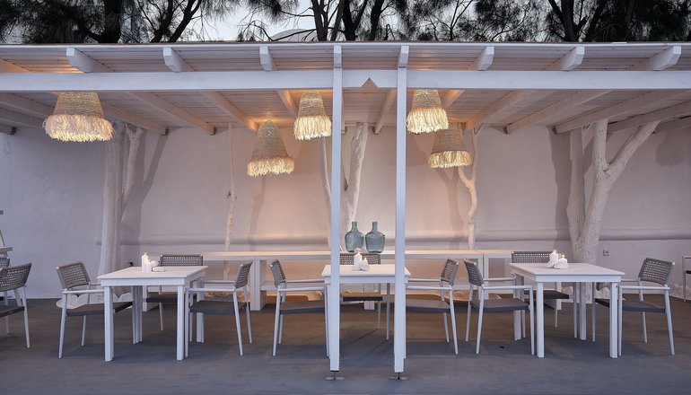 Petri Suites