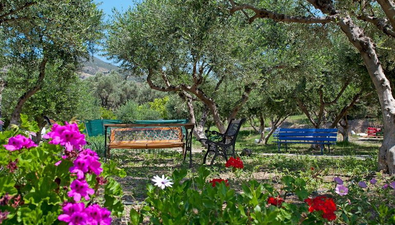 Aphrodite Samos Superior Studios & Apartments
