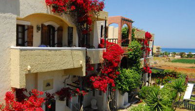 Malia Studios