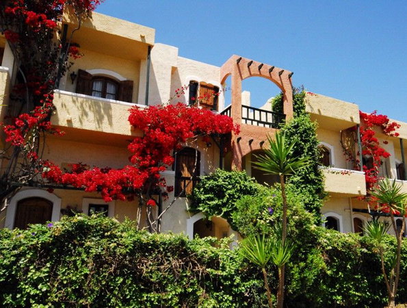 Malia Studios