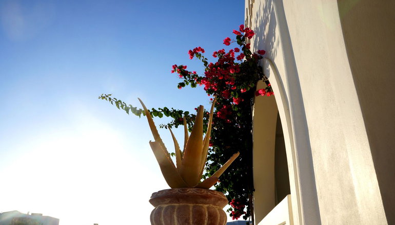 Blue Harmony Apartments - Νάξος