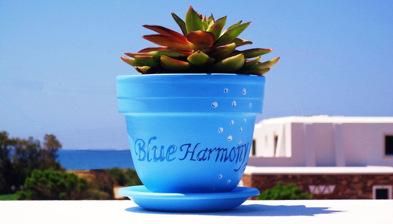 Blue Harmony Apartments - Νάξος