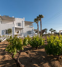 Ktima Bianco Naxos