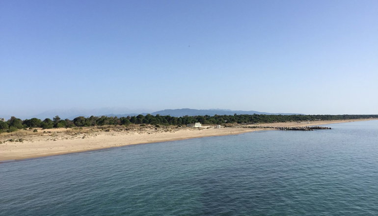 Verde Al Mare