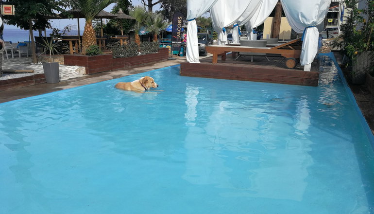 Beach Hotel Thassos