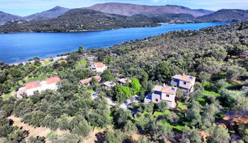Gera's Olive Grove (Elaionas Tis Geras) - Κόλπος Γέρας, Λέσβος