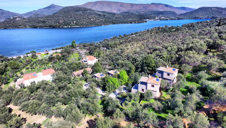 Gera's Olive Grove (Elaionas Tis Geras) - Κόλπος Γέρας, Λέσβος