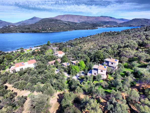 Gera's Olive Grove (Elaionas Tis Geras) - Κόλπος Γέρας, Λέσβος