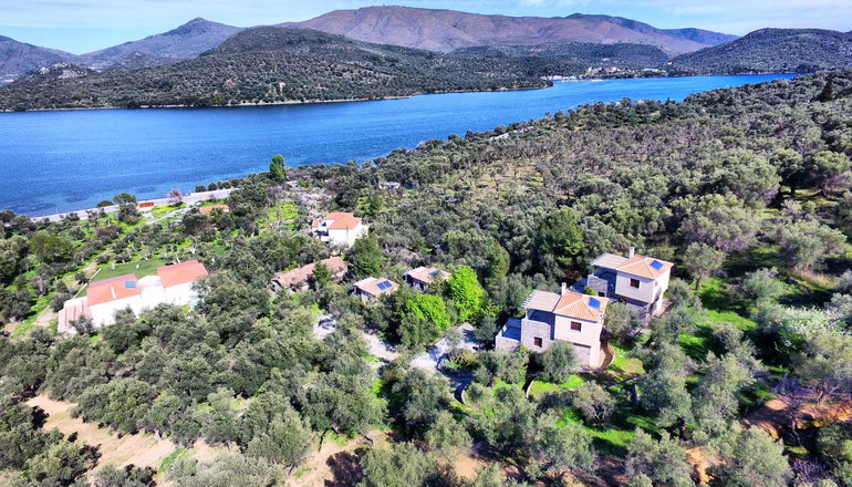 Gera's Olive Grove (Elaionas Tis Geras)