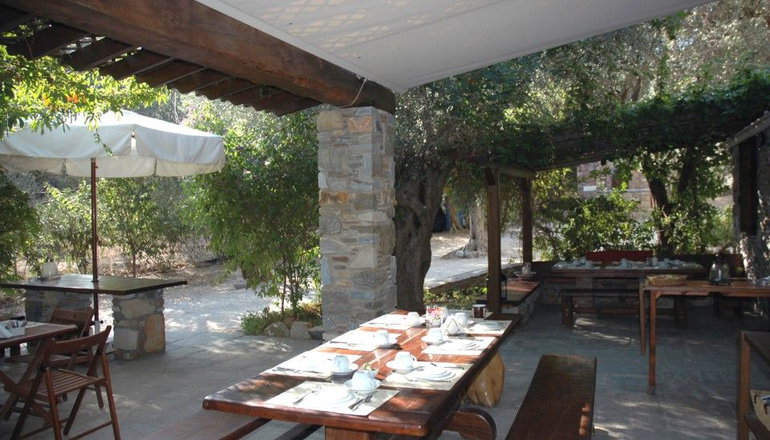 Gera's Olive Grove (Elaionas Tis Geras)