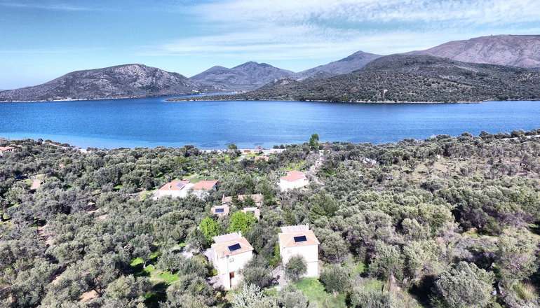 Gera's Olive Grove (Elaionas Tis Geras)