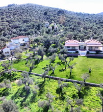 Gera's Olive Grove (Elaionas Tis Geras) - Κόλπος Γέρας, Λέσβος