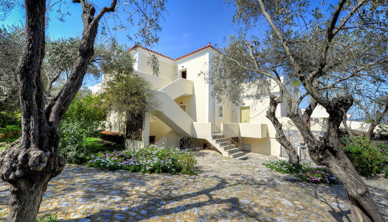 Gera's Olive Grove (Elaionas Tis Geras)