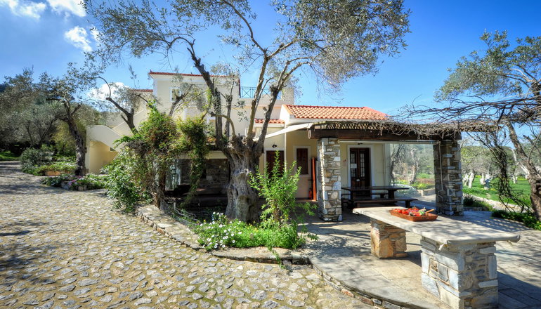 Gera's Olive Grove (Elaionas Tis Geras)