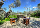 Gera's Olive Grove (Elaionas Tis Geras)