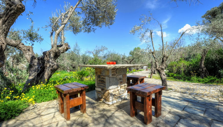 Gera's Olive Grove (Elaionas Tis Geras)