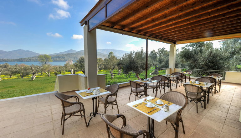 Gera's Olive Grove (Elaionas Tis Geras)