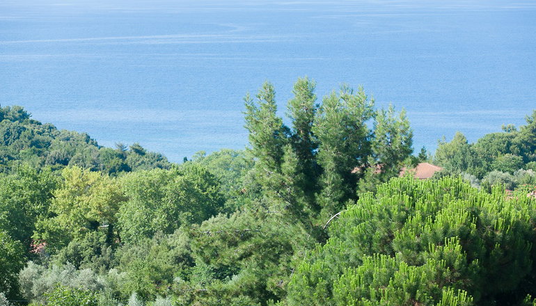 12 Olympian Gods Hotel - Πλαταμώνας Πιερίας