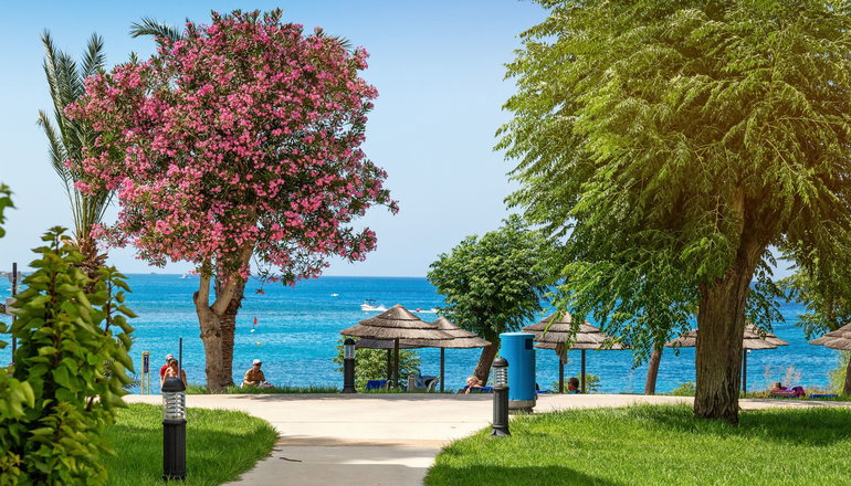 4* Nausicaa Beach