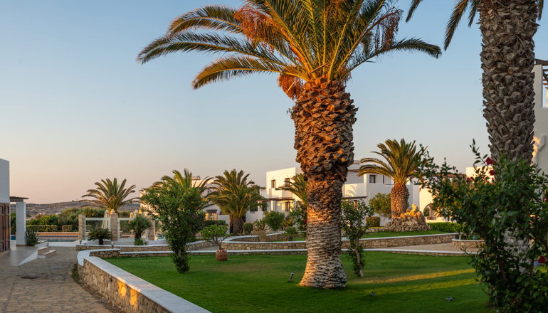4* Irini Hotel - Αφιάρτης, Κάρπαθος
