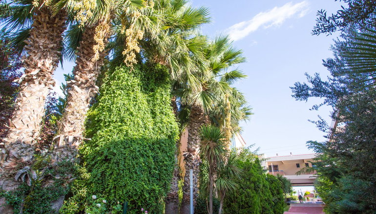 5* Alkyon Resort Hotel & Spa