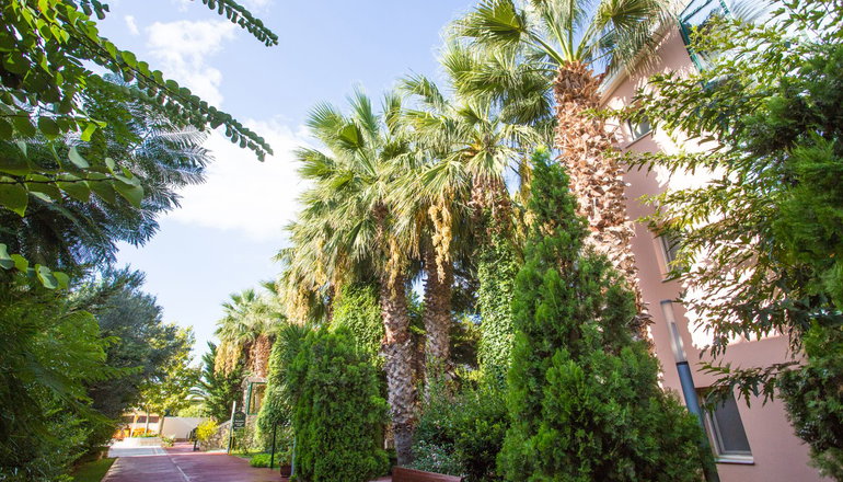 5* Alkyon Resort Hotel & Spa