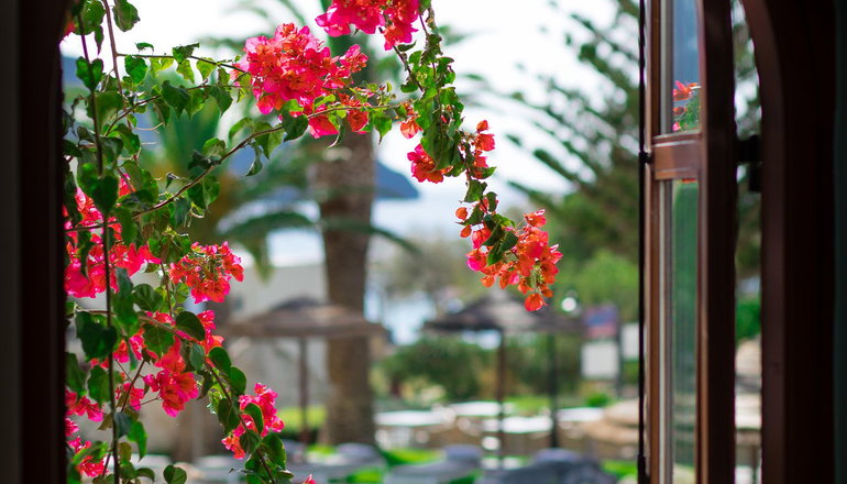 Alianthos Garden Hotel