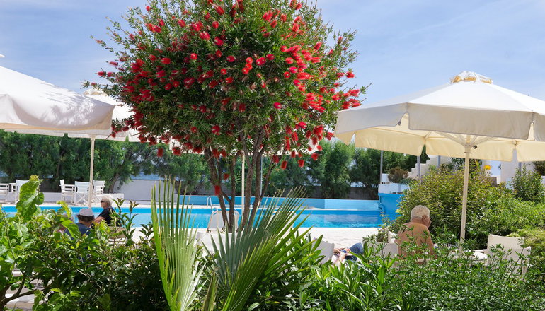 4* The Grove Seaside Hotel