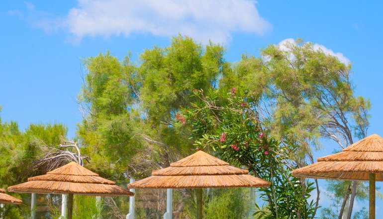 Mikri Vigla Hotel - Μικρή Βίγλα, Νάξος