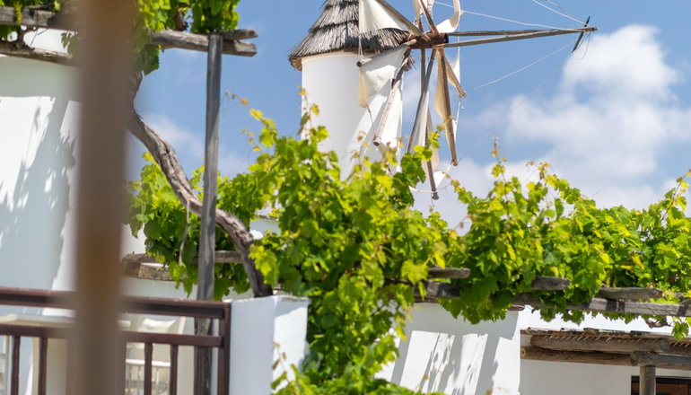 Hotel Anemomilos - Αγία Άννα, Νάξος