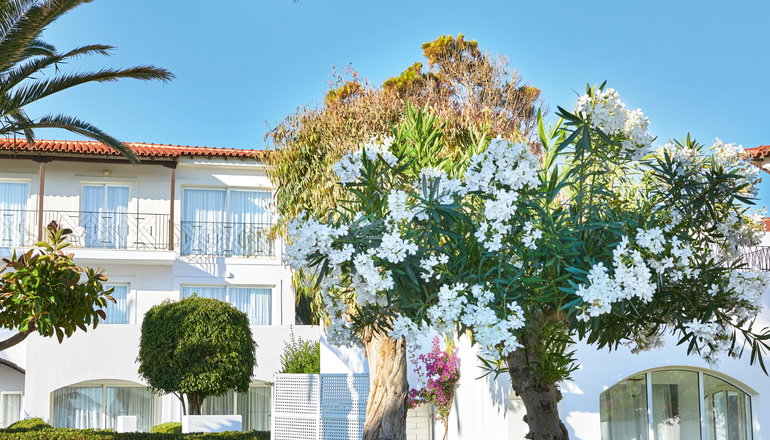 5* Caramel, A Grecotel Resort to Live