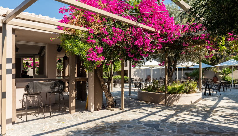 4* White Olive Premium - Λίνδος, Ρόδος