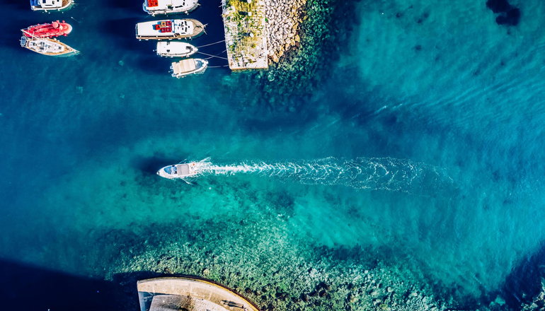 Marine Dream