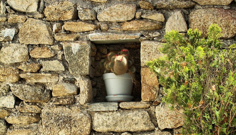 4* Paola’s Town Boutique Hotel - Δραφάκι, Μύκονος