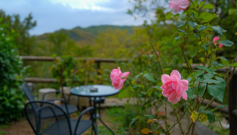 4* Kipi Mountain Resort - Κήποι, Ζαγοροχώρια
