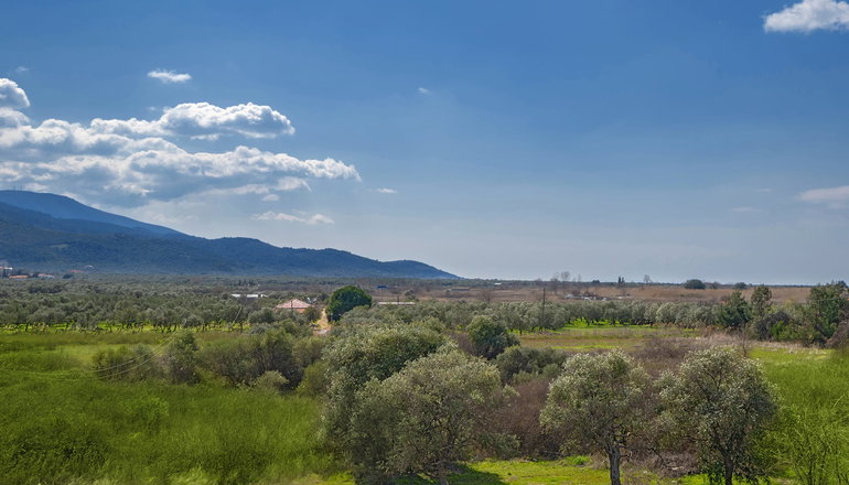 Thassian Riviera - Πρίνος, Θάσος