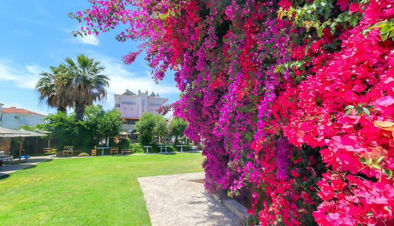 Evlogia Hotel Seafront and Annex by Greek Pride - Κασσάνδρα, Χαλκιδική