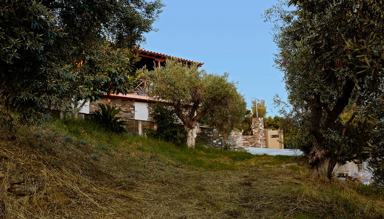 Villa Ira - Μπανάνα, Σκιάθος