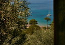 Σκιάθος για έως 6 άτομα