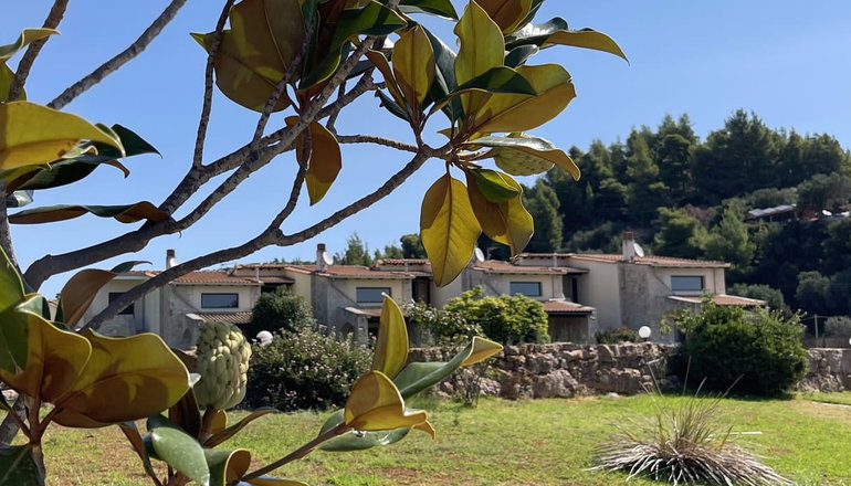 Evlogia Village by Greek Pride - Νέα Σκιώνη, Χαλκιδική