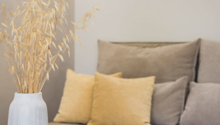 Diana Suites - Τραπεζάκι, Κεφαλονιά