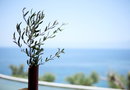 Κορώνη, Μεσσηνία για έως 6 άτομα