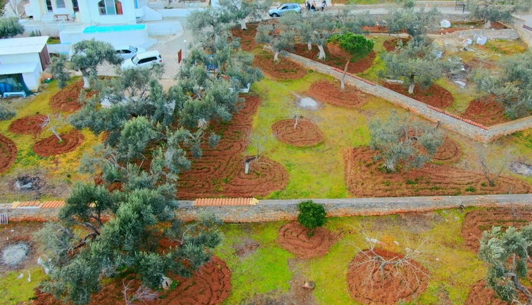 Villa Konaki - Παραλία Σέσι, Μαραθώνας