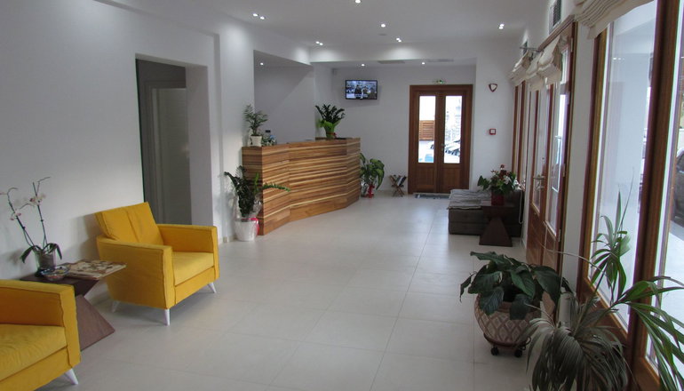 Anamnesis Spa Luxury Apartments - Φηρά, Σαντορίνη