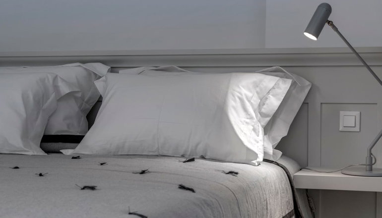 Skylight Suites