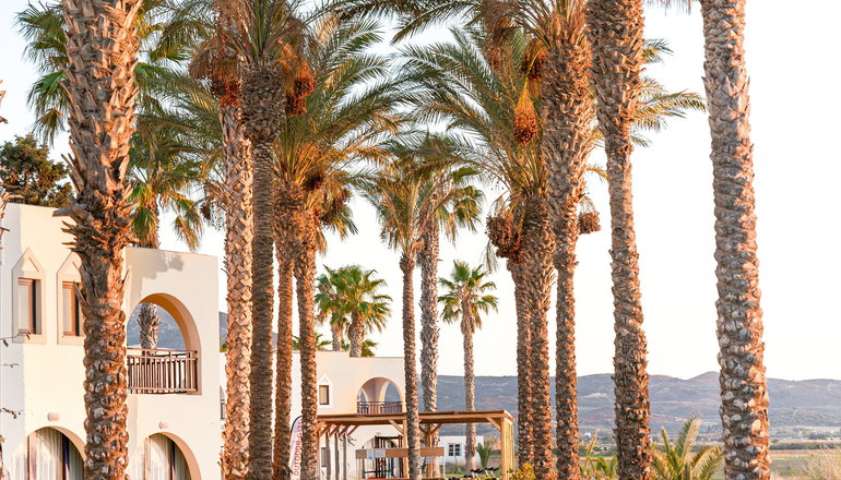 4* Grecotel Casa Paradiso - Μαρμάρι, Κως